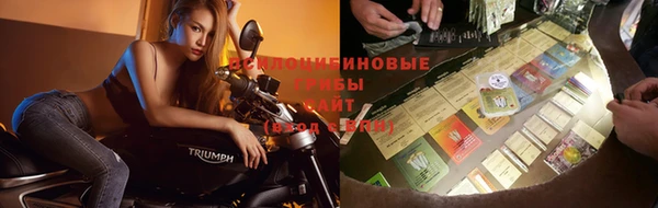 каннабис Алексин