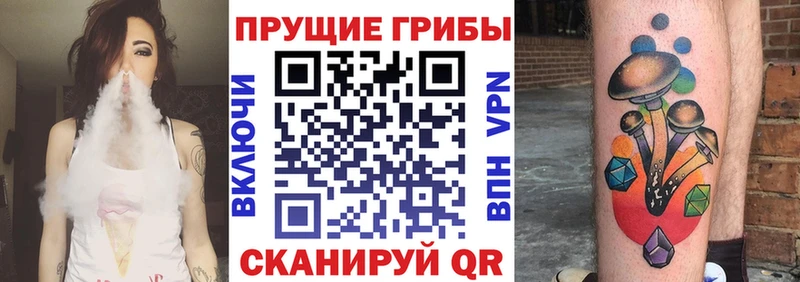 купить   Бакал  Псилоцибиновые грибы мицелий 